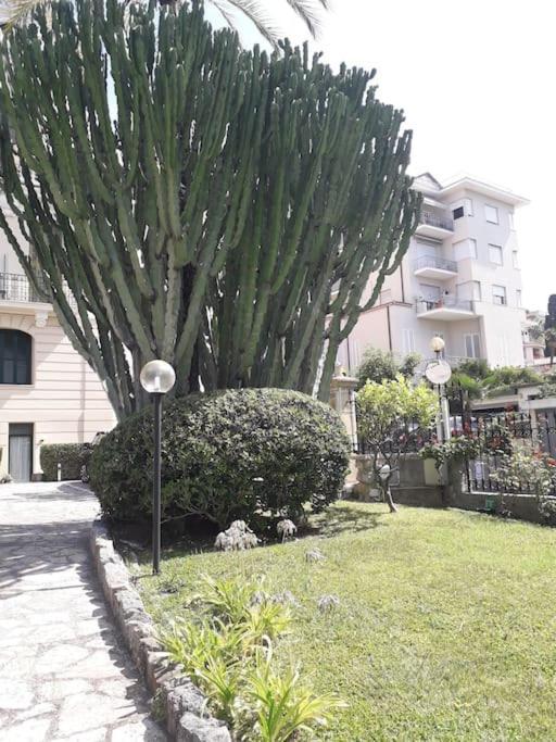 Апартаменты La Casa Di Anna, In Palazzina Liberty Fronte Parco Бордигера Экстерьер фото